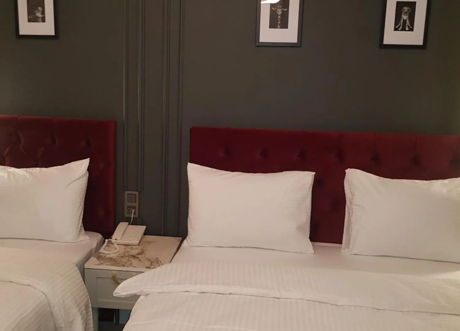 Hotel Selenayy Laleli Istanbul
